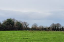 Terrain à Le-Drennec 29860 628m2 81640 € - PBE-25-05-05-10