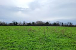 Terrain à Le-Drennec 29860 416m2 56160 € - PBE-25-05-05-11