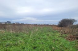 Terrain à PLOUGUERNEAU 29880 351m2 38000 € - PBE-25-05-05-12