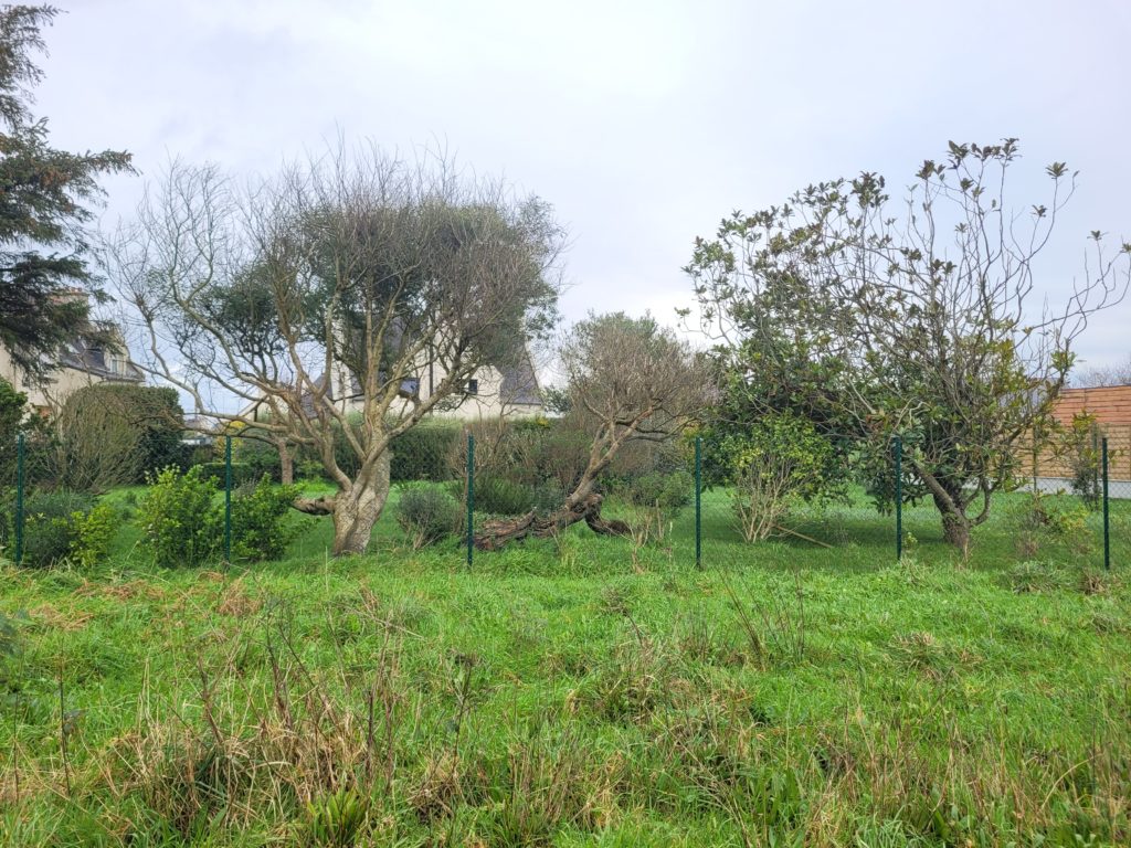 Terrain à PLOUGUERNEAU 29880 439m2 45000 € - PBE-25-05-05-13