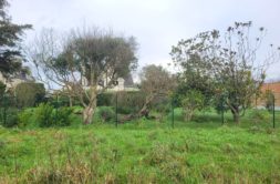 Terrain à PLOUGUERNEAU 29880 439m2 45000 € - PBE-25-05-05-13