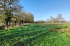 Terrain à Noyal-Chatillon-sur-Seiche 35230 310m2 77500 € - ABRE-25-06-12-12
