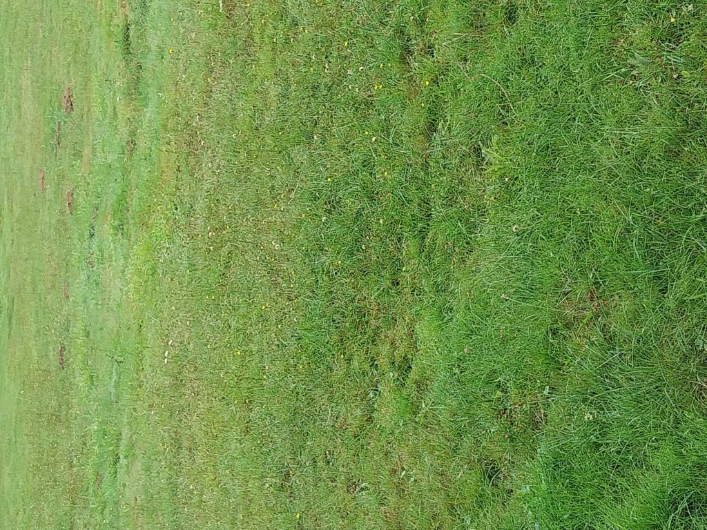 Terrain à Nivillac 56130 555m2 76000 € - BS-25-04-30-42