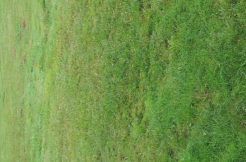 Terrain à Nivillac 56130 555m2 76000 € - BS-25-04-30-42
