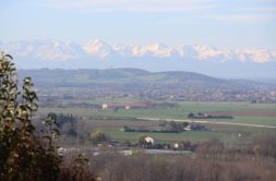 Terrain à Clermont-le-Fort 31810 1423m2 169900 € - EREV-25-04-23-13