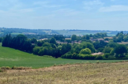 Terrain à Rebigue 31320 900m2 189900 € - EREV-25-04-29-3