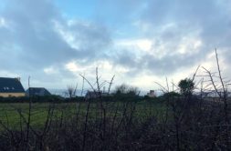 Terrain à Plozevet 29710 1600m2 197000 € - MBE-25-04-04-1