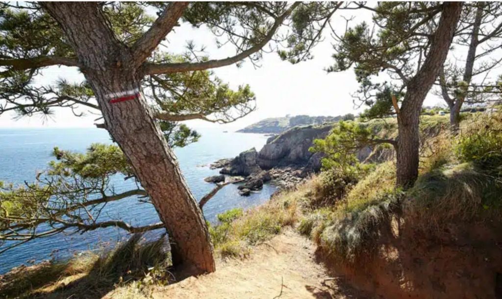 Terrain à Saint-Cast-le-Guildo 22380 514m2 208000 € - YOBE-25-02-06-7