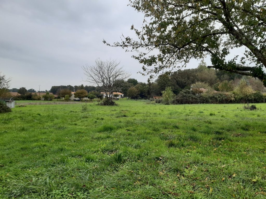 Terrain à Tonnay-Charente 17430 2112m2 139900 € - OBE-25-10-17-4