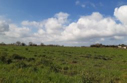 Terrain à Saint-Nazaire-sur-Charente 17780 632m2 108160 € - OBE-25-04-23-40