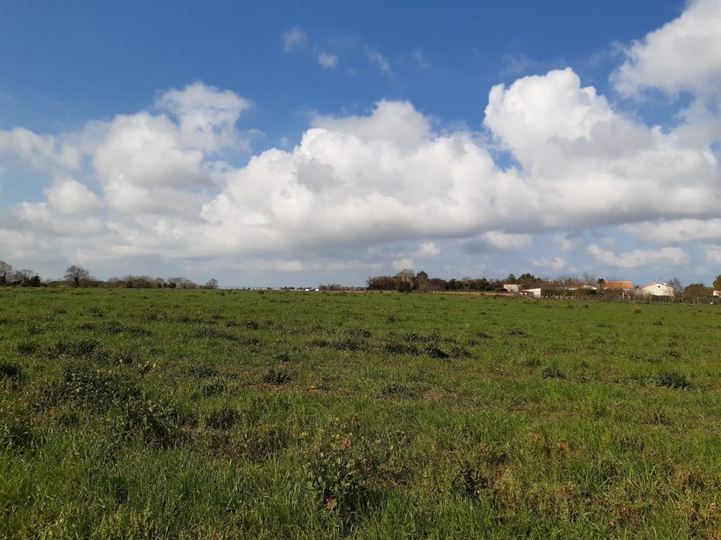 Terrain à Saint-Nazaire-sur-Charente 17780 389m2 64350 € - OBE-25-04-23-39