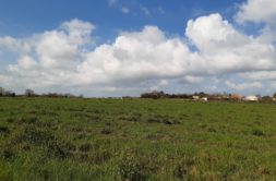 Terrain à Saint-Nazaire-sur-Charente 17780 389m2 64350 € - OBE-25-04-23-39