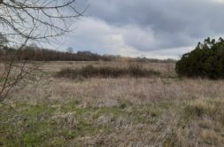 Terrain à Pont-l’Abbe-d’Arnoult 17250 364m2 50400 € - OBE-25-05-26-3