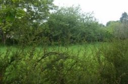 Terrain à Pluvigner 56330 1026m2 86000 € - BS-25-04-30-37