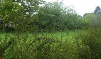 Terrain à Pluvigner 56330 1026m2 86000 € - BS-25-04-30-37