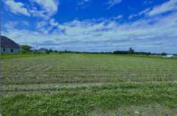 Terrain à Odos 65310 1100m2 98500 € - BJE-25-04-04-1