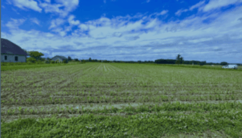 Terrain à Odos 65310 1100m2 98500 € - BJE-25-06-16-5