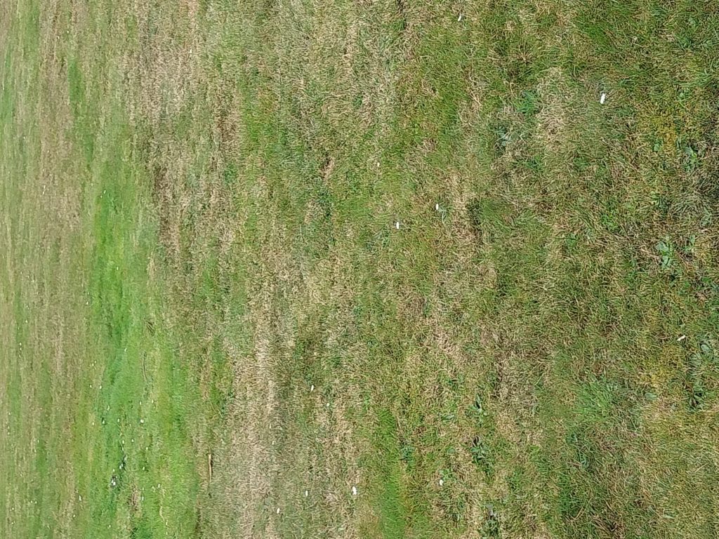 Terrain à Plumelec 56420 397m2 53595 € - BS-25-04-30-34