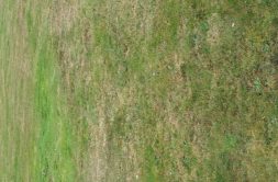 Terrain à Plumelec 56420 397m2 53595 € - BS-25-04-30-34