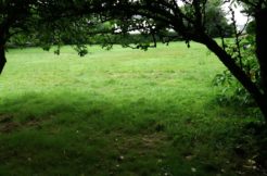 Terrain à Landehen 22400 470m2 49900 € - YLM-25-10-21-32