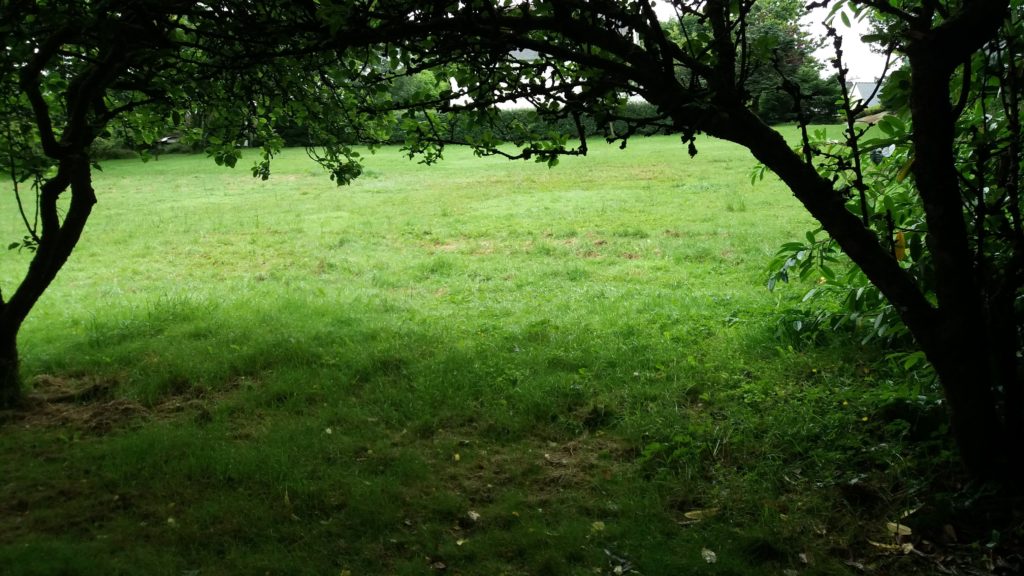 Terrain à Landehen 22400 680m2 59900 € - YLM-25-05-18-1