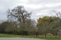 Terrain à Saint-Cast-le-Guildo 22380 993m2 140000 € - BONE-25-04-07-11