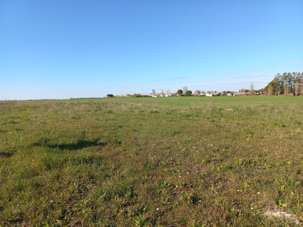 Terrain à Asnieres-la-Giraud 17400 760m2 25000 € - JETR-25-07-15-28