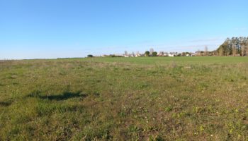 Terrain à Asnieres-la-Giraud 17400 760m2 25000 € - JETR-25-07-15-28