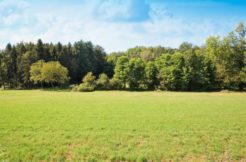 Terrain à Chaniers 17610 500m2 51300 € - JETR-25-04-15-13