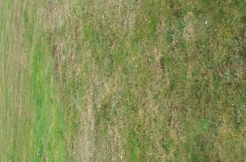 Terrain à Brech 56400 648m2 160000 € - BS-25-05-28-1