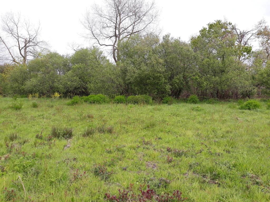Terrain à Cavan 22140 1200m2 102000 € - MLAG-25-07-18-6