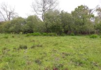 Terrain à Cavan 22140 1200m2 102000 € - MLAG-25-07-18-6