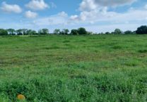 Terrain à Tregunc 29910 897m2 82000 € - FLANC-25-05-15-1