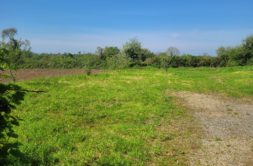 Terrain à Gouesnou 29850 817m2 228000 € - RBRO-25-05-20-11