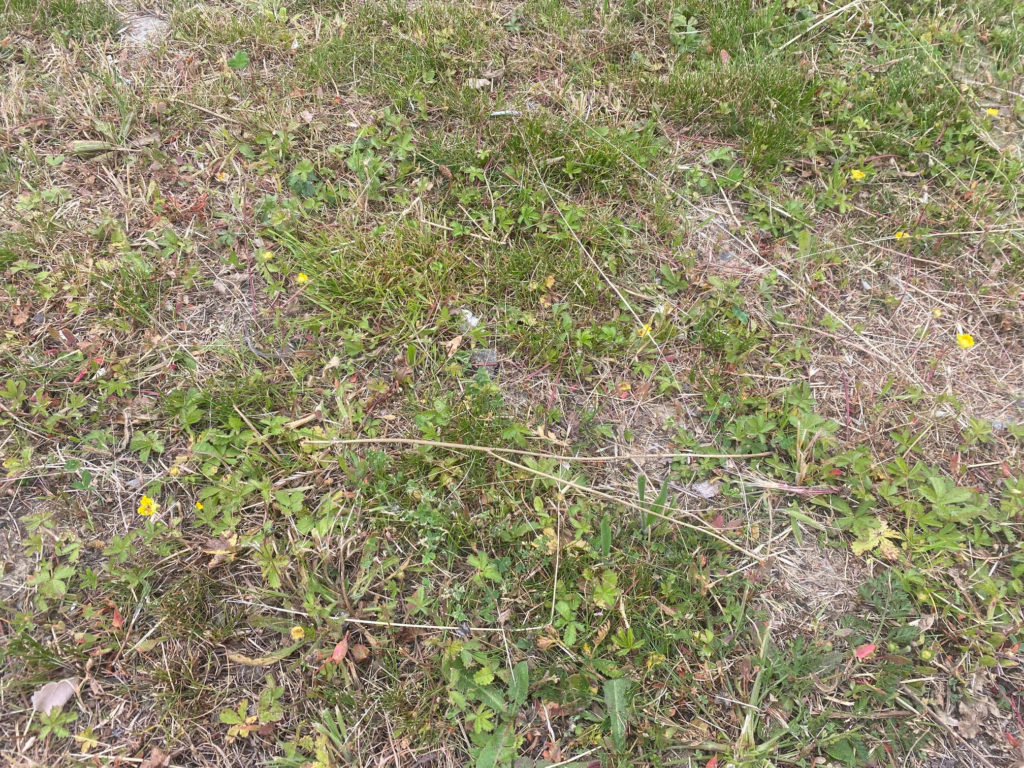 Terrain à Divatte-sur-Loire 44450 315m2 106500 € - JLD-25-11-24-55