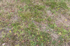 Terrain à Divatte-sur-Loire 44450 315m2 106500 € - JLD-25-11-24-55