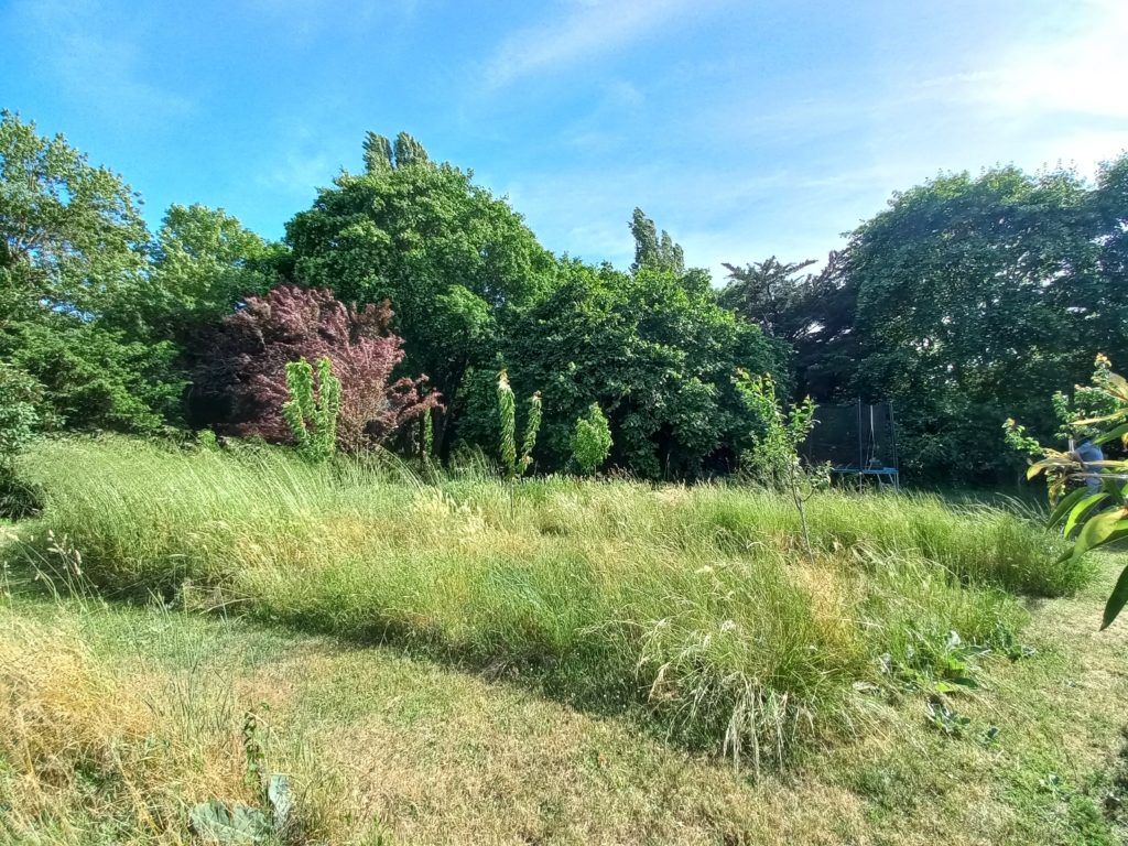 Terrain à Saujon 17600 1000m2 106000 € - VITR-25-06-16-40