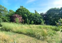 Terrain à Saujon 17600 1000m2 106000 € - VITR-25-06-16-40