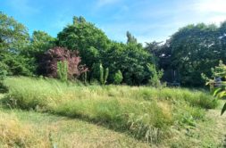Terrain à Saujon 17600 1000m2 106000 € - VITR-25-06-16-40