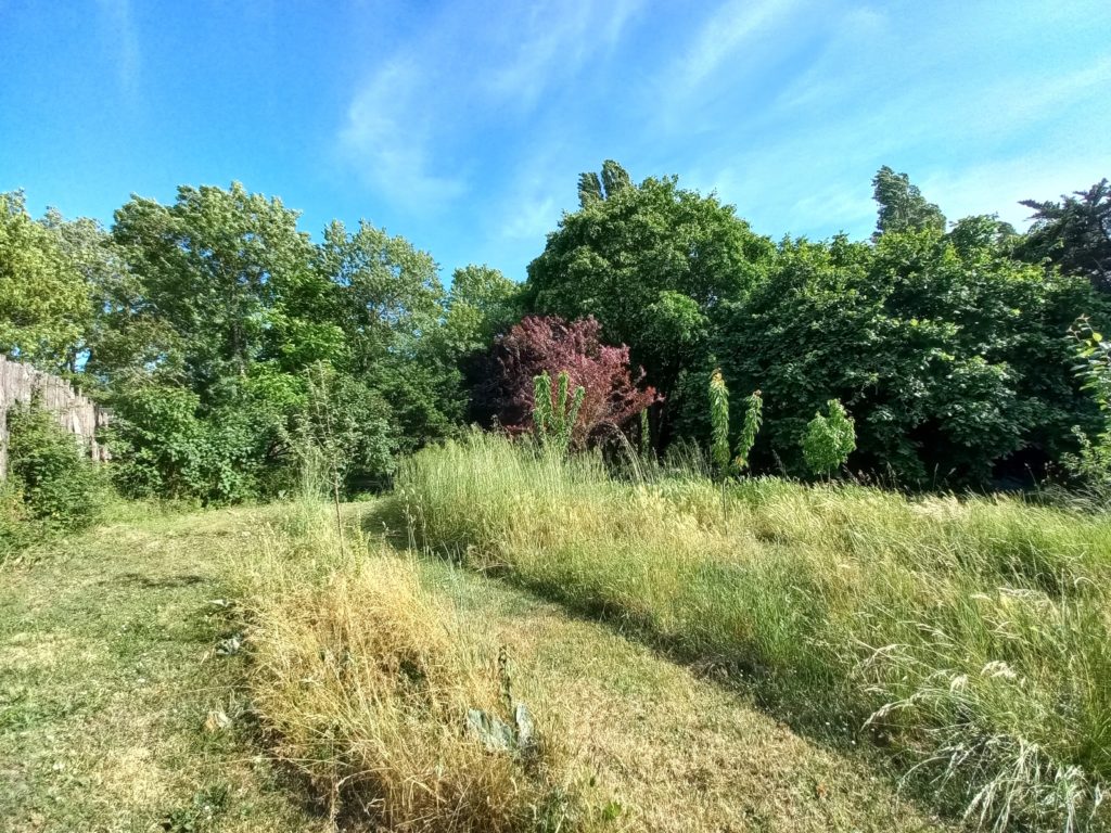 Terrain à Saujon 17600 1000m2 106000 € - VITR-25-06-16-40