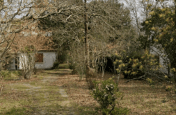 Terrain à Breuillet 17920 451m2 102000 € - VITR-25-06-10-9
