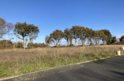 Terrain à Concarneau 29900 500m2 72000 € - FLANC-25-06-10-19