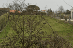 Terrain à Saint-Augustin 17570 364m2 69400 € - VITR-25-06-16-44
