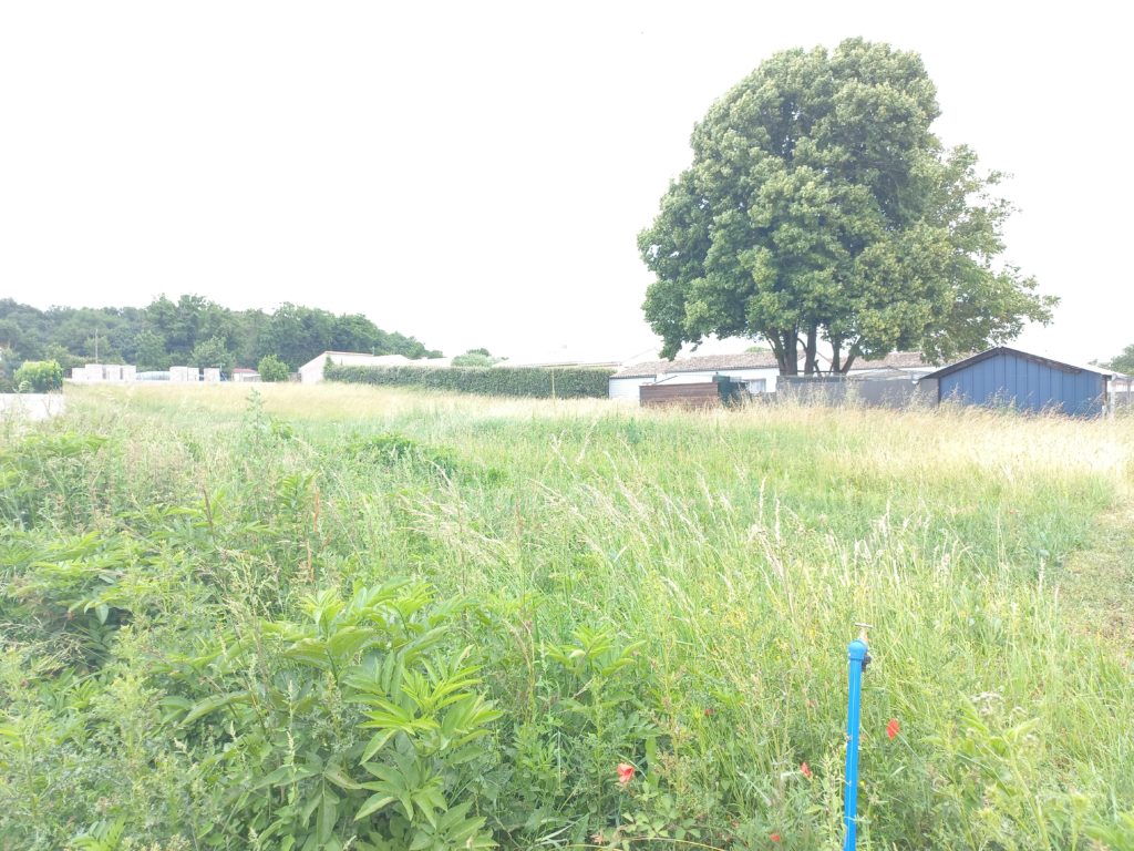 Terrain à Le-Gua 17600 500m2 64800 € - VITR-25-06-23-18