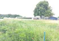 Terrain à Le-Gua 17600 500m2 64800 € - VITR-25-06-23-18