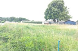 Terrain à Le-Gua 17600 500m2 64800 € - VITR-25-06-23-18