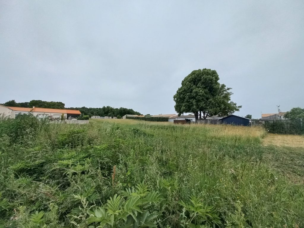 Terrain à Le-Gua 17600 500m2 64800 € - VITR-25-06-23-18