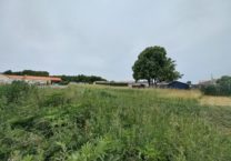 Terrain à Le-Gua 17600 500m2 64800 € - VITR-25-06-23-18