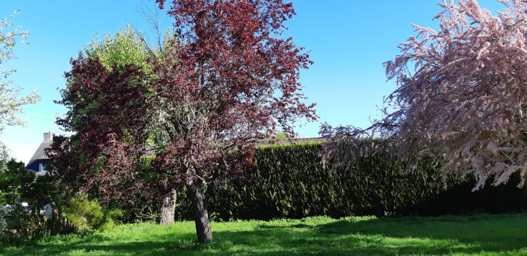 Terrain à Chateaugiron 35410 342m2 95000 € - ABRE-25-06-12-4