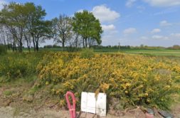 Terrain à Saint-Aubin-des-Landes 35500 292m2 38500 € - ABRE-25-06-26-8